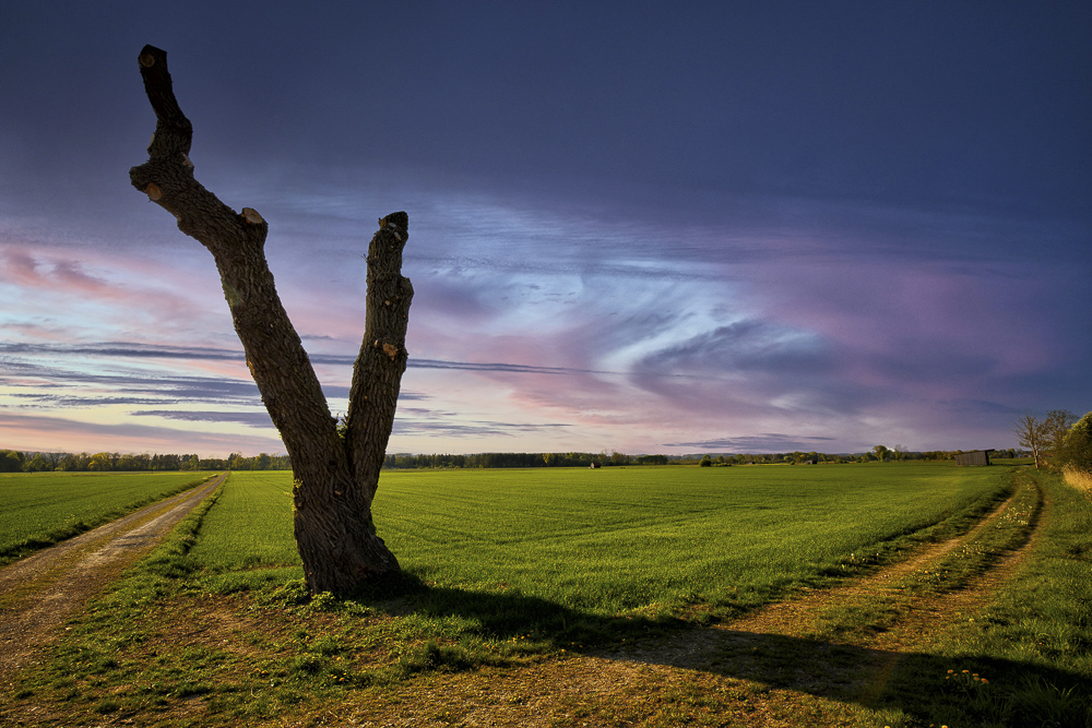 Platz 12 WilliBitzer